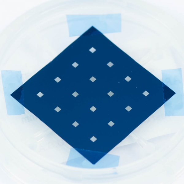 SPI Multi-Frame Array 5.0mm Square Frame 4x4 Array 100 nm Si3N4 1.0 mm Window 200 &micro;m Silicon