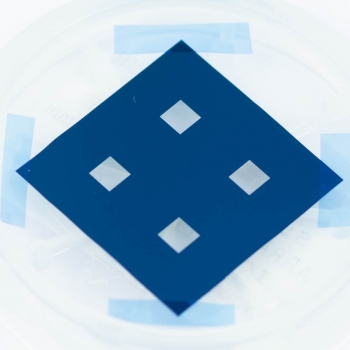 SPI Multi-Frame Array 10mm Square Frame 2x2 Array 100 nm Si3N4 3.0 mm Window 200 &micro;m Silicon