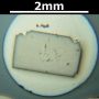 SPI Supplies Brand Standards For Microanalysis, Synthetic CMTaylor, Silver Sulfide,Mounted