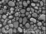 SPI Supplies Brand Gold-on-Carbon SEM Test Specimen (Large Size) on 3/8 in. Round Mount