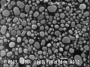 SPI Supplies Brand Gold-on-Carbon SEM Test Specimen (Medium Size) on 3/8 in. Round Mount