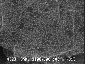 SPI Supplies Brand Gold-on-Carbon SEM Resolution Test Specimen, Unmounted or on Specified