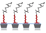 BioPEG Grids: Hydrophilic, neutral charge grid; 2mm x 50&micro;m 25nm thickness; Pack of 10