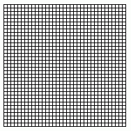 Graticules Optics, Grid (net) 1.0mm pitch Surface Chrome Image # NE11