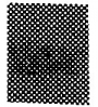 Graticules Optics, Chessboard (net) 2.0mm sqaures Surface Chrome Image 16mm #NE15