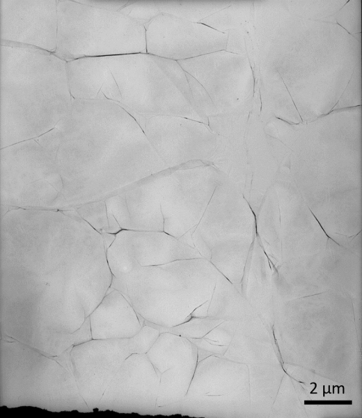 Graphene Coating on 1000 Mesh Cu Grid, Pack of 10