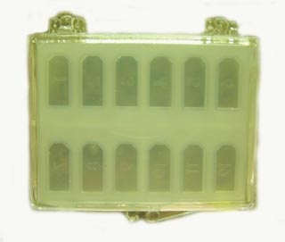BEEM Flat Embedding Mold, 12 Separate Cavities, Individually Numbered