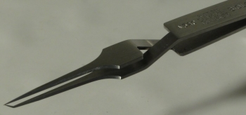 Dumont Dumoxel #N5 Anti-capillary Tweezer, Biology Tips, Antimagnetic Stainless Steel, 110 mm