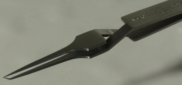 Dumont Dumoxel #N5 Anti-capillary Tweezer, Biology Tips, Antimagnetic Stainless Steel, 110 mm