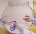 Fume Hood