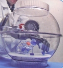Glove Chamber
