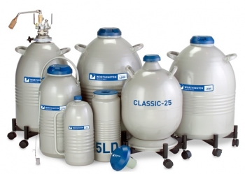 Liquid Nitrogen Dewars