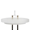 Rebuilt Filaments for Philips S-Loop Pack of 10