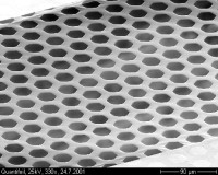 Quantifoil Hex15 Micromachined Formvar/Carbon Grids,2x0.5 mm Slot, Copper, Pk100, Slide-A-Grid Box
