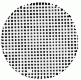 SPI Supplies Carbon Coated Nylon Grids, 3 mm diameter for TEM, Pack of 100