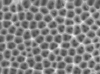 Anodic Aluminum Oxide Anisotropic membrane filters, 2-4nm pore, 13mm dia, pk20 - - alt view 1