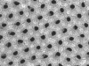 Anodic Aluminum Oxide Isotropic membrane filters, 100nm pore, 25mm dia, pk20 - - alt view 1