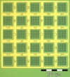 Perforated SiOx TEM membrane grids, .5x.5mm membrane, 50nm thick, 200um thick frame, 2um hole, Pk/10 - - alt view 4