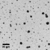 NanoMinus Grids: Hydrophilic, negative charge grid; 100 x 100&micro;m 25nm thickness; Pack of 10 - - alt view 1