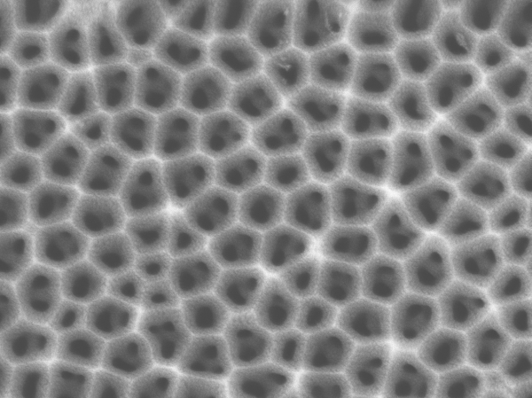 Anodic Aluminum Oxide Anisotropic Membrane Filters