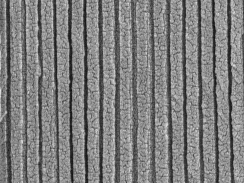 Anodic Aluminum Oxide Isotropic Membrane Filters