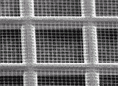 Quantifoil Holey Carbon Grids