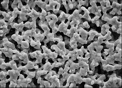 SPI-Pore Silver Membrane Filters