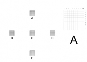 Correlative Microscopy Coverslips, 10x10 grids of 0.1mm squares at 5 positions,pack 25