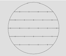 Graticules Optics, Eye Piece Reticle Zeiss Integrating Disc 1 (Henning Reseau) 25 Points - Model G49