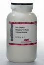 SPI-Chem Pioloform Resin, 100g, Polyvinyl Butyral, CAS #63148-65-2