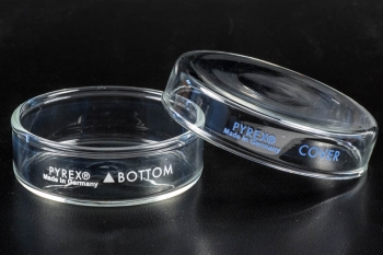 Petri Dishes, Pyrex