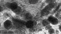 SPI Potassium Chloroplatinate, 0.56 nm Lattice Spacing, on 200 mesh Copper Grid