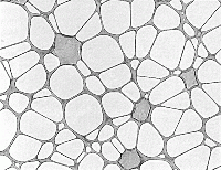 Supplies Spi Nylon Grid 108