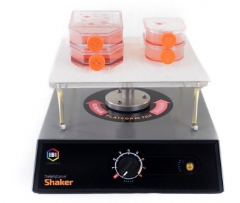 The Belly Dancer Shaker, Laboratory