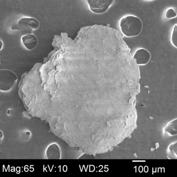 Hexagonal Boron Nitride, Grade A (hBN-A),  0.5mm - 1 mm, 20+ Single Crystals