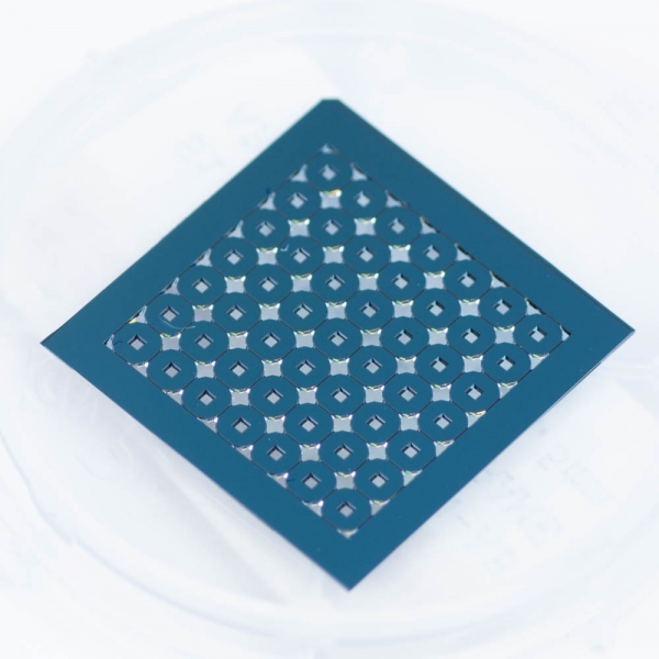 SPI Multi-Frame Array 2.65mm Square Frame 7x7 Array 100 nm Si3N4 0.5 mm Window 200 &micro;m Silicon