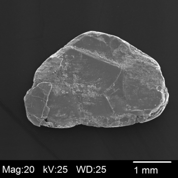 Molybdenum Diselenide (MoSe<sub>2</sub>), 1 Single Crystal Piece, 10mm<sup>2</sup>