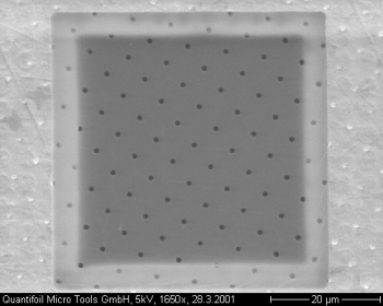 Quantifoil R1/4 Micromachined Holey Carbon Grids, Mesh Gold, Slide-A-Grid Box