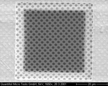 Quantifoil R1.2/1.3 Micromachined Holey Carbon Grids, Mesh Rhodium,Pk100, SPI Slide-A-Grid Box