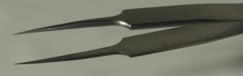 SPI-Swiss Style #5 Stainless Steel Tweezer, High Precision, 110 mm