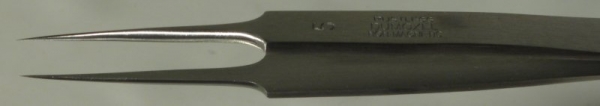 Dumont Dumoxel Style #5 Tweezer, Biology Tips, Antimagnetic Stainless Steel, 110 mm