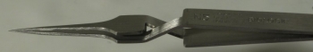 Dumont Dumoxel #N5 Tweezer, Biology Tips, Antimagnetic Stainless Steel, 110 mm